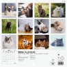 Finocam – Calendrier mural 2026 18 x 18 cm 1 Mois par page Janvier – Décembre 2026 + Sept.-Déc. 2025 (4 mois) réduits | Calendri