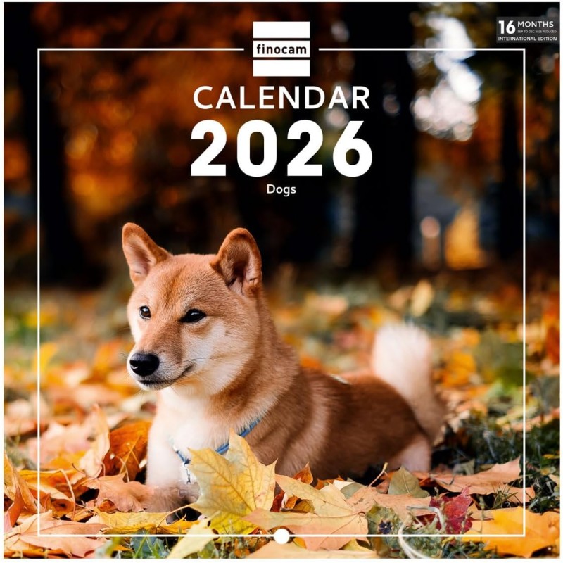 Finocam – Calendrier mural 2026 18 x 18 cm 1 Mois par page Janvier – Décembre 2026 + Sept.-Déc. 2025 (4 mois) réduits | Calendri