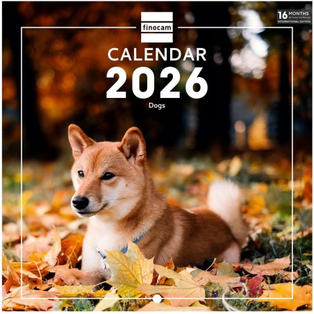 Finocam – Calendrier mural 2026 18 x 18 cm 1 Mois par page Janvier – Décembre 2026 + Sept.-Déc. 2025 (4 mois) réduits | Calendri