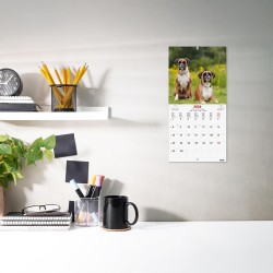 Finocam – Calendrier mural 2026 18 x 18 cm 1 Mois par page Janvier – Décembre 2026 + Sept.-Déc. 2025 (4 mois) réduits | Calendri