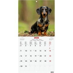Finocam – Calendrier mural 2026 18 x 18 cm 1 Mois par page Janvier – Décembre 2026 + Sept.-Déc. 2025 (4 mois) réduits | Calendri