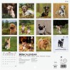 Finocam – Calendrier mural 2026 18 x 18 cm 1 Mois par page Janvier – Décembre 2026 + Sept.-Déc. 2025 (4 mois) réduits | Calendri