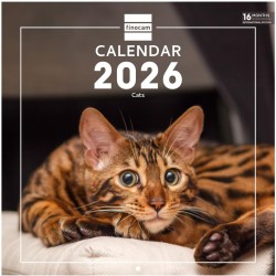 Finocam – Calendrier mural 2026 30 x 30 cm 1 Mois par page Janvier – Décembre 2026 + Sept.-Déc. 2025 (4 mois) réduits | Calendri