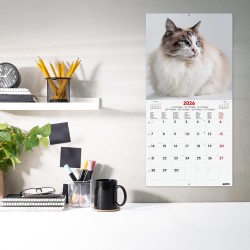 Finocam – Calendrier mural 2026 30 x 30 cm 1 Mois par page Janvier – Décembre 2026 + Sept.-Déc. 2025 (4 mois) réduits | Calendri