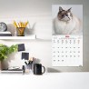 Finocam – Calendrier mural 2026 30 x 30 cm 1 Mois par page Janvier – Décembre 2026 + Sept.-Déc. 2025 (4 mois) réduits | Calendri