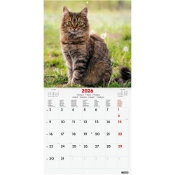 Finocam – Calendrier mural 2026 30 x 30 cm 1 Mois par page Janvier – Décembre 2026 + Sept.-Déc. 2025 (4 mois) réduits | Calendri