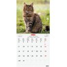 Finocam – Calendrier mural 2026 30 x 30 cm 1 Mois par page Janvier – Décembre 2026 + Sept.-Déc. 2025 (4 mois) réduits | Calendri