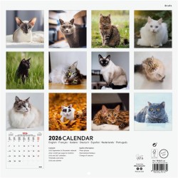 Finocam – Calendrier mural 2026 30 x 30 cm 1 Mois par page Janvier – Décembre 2026 + Sept.-Déc. 2025 (4 mois) réduits | Calendri