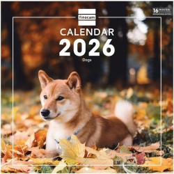 Finocam – Calendrier mural 2026 30 x 30 cm 1 Mois par page Janvier – Décembre 2026 + Sept.-Déc. 2025 (4 mois) réduits | Calendri