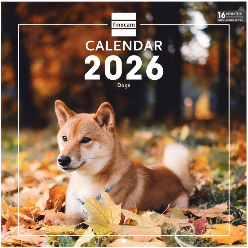 Finocam – Calendrier mural 2026 30 x 30 cm 1 Mois par page Janvier – Décembre 2026 + Sept.-Déc. 2025 (4 mois) réduits | Calendri