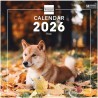 Finocam – Calendrier mural 2026 30 x 30 cm 1 Mois par page Janvier – Décembre 2026 + Sept.-Déc. 2025 (4 mois) réduits | Calendri