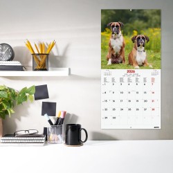 Finocam – Calendrier mural 2026 30 x 30 cm 1 Mois par page Janvier – Décembre 2026 + Sept.-Déc. 2025 (4 mois) réduits | Calendri