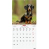 Finocam – Calendrier mural 2026 30 x 30 cm 1 Mois par page Janvier – Décembre 2026 + Sept.-Déc. 2025 (4 mois) réduits | Calendri