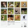 Finocam – Calendrier mural 2026 30 x 30 cm 1 Mois par page Janvier – Décembre 2026 + Sept.-Déc. 2025 (4 mois) réduits | Calendri