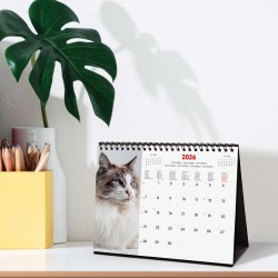 Finocam – Calendrier de bureau 2026 1 Mois par page Janvier – Décembre 2026 + Sept.-Déc. 2025 (4 mois) réduits | Calendrier 2026