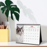 Finocam – Calendrier de bureau 2026 1 Mois par page Janvier – Décembre 2026 + Sept.-Déc. 2025 (4 mois) réduits | Calendrier 2026