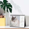 Finocam – Calendrier de bureau 2026 1 Mois par page Janvier – Décembre 2026 + Sept.-Déc. 2025 (4 mois) réduits | Calendrier 2026