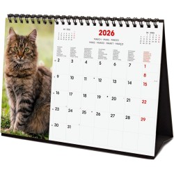 Finocam – Calendrier de bureau 2026 1 Mois par page Janvier – Décembre 2026 + Sept.-Déc. 2025 (4 mois) réduits | Calendrier 2026