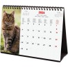 Finocam – Calendrier de bureau 2026 1 Mois par page Janvier – Décembre 2026 + Sept.-Déc. 2025 (4 mois) réduits | Calendrier 2026
