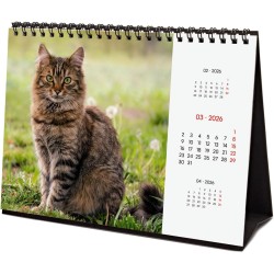 Finocam – Calendrier de bureau 2026 1 Mois par page Janvier – Décembre 2026 + Sept.-Déc. 2025 (4 mois) réduits | Calendrier 2026