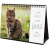 Finocam – Calendrier de bureau 2026 1 Mois par page Janvier – Décembre 2026 + Sept.-Déc. 2025 (4 mois) réduits | Calendrier 2026