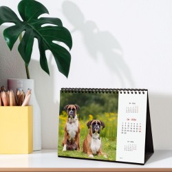 Finocam – Calendrier de bureau 2026 1 Mois par page Janvier – Décembre 2026 + Sept.-Déc. 2025 (4 mois) réduits | Calendrier 2026