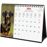 Finocam – Calendrier de bureau 2026 1 Mois par page Janvier – Décembre 2026 + Sept.-Déc. 2025 (4 mois) réduits | Calendrier 2026
