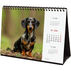 Finocam – Calendrier de bureau 2026 1 Mois par page Janvier – Décembre 2026 + Sept.-Déc. 2025 (4 mois) réduits | Calendrier 2026