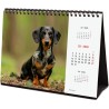 Finocam – Calendrier de bureau 2026 1 Mois par page Janvier – Décembre 2026 + Sept.-Déc. 2025 (4 mois) réduits | Calendrier 2026
