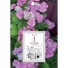 Exacompta - 32113E - Bloc éphéméride comique 6,5 x 9,7 cm - Sur plaque illustrée classique 18 x 26 cm - 2026 - Visuel aléatoire