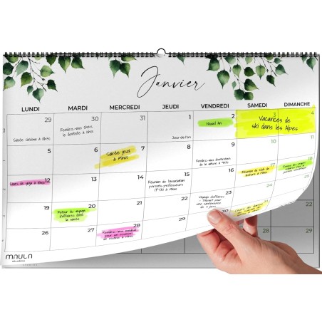 Calendrier Mural 2026 A4 – Planificateur Annuel Mensuel Juillet 2025 à Décembre 2026 – Parfait pour Maison Bureau École et Famil