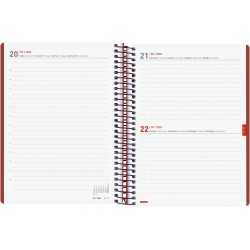 Finocam – Agenda Ikon 16 mois 2025-2026 1 jour par page Septembre 2025-Décembre 2026 (16 mois) Bordeaux International