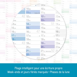 Häfft® Calendrier mural XXL 2026 A1+ de papier en français (63 x 89 cm) plié "Rainbow" + agenda annuel A4 gratuit, avec jours fé