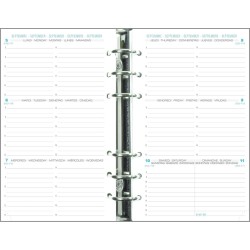 Exacompta - 18240E - Recharge Perforée - Exatime 17-10,5 cm x 17,2 cm - la Semaine sur 2 Pages Avec Une Grille Horizontale - Sep