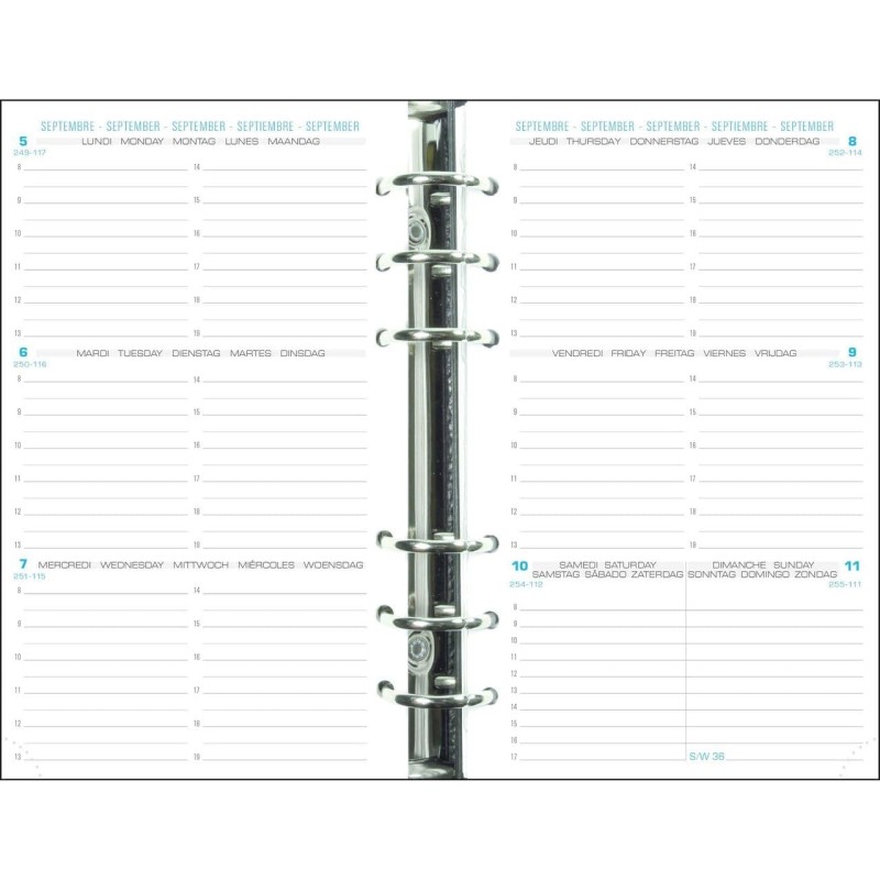 Exacompta - 18240E - Recharge Perforée - Exatime 17-10,5 cm x 17,2 cm - la Semaine sur 2 Pages Avec Une Grille Horizontale - Sep