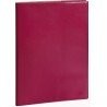 Exacompta - 29762E - Agenda de bureau Consultations Volga - 21 cm x 29,7 cm - Semainier décembre 2022 à décembre 2023 - Coloris 