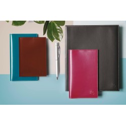 Exacompta - 29762E - Agenda de bureau Consultations Volga - 21 cm x 29,7 cm - Semainier décembre 2022 à décembre 2023 - Coloris 