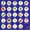 Calendrier de l'Avent des semences - graines de légumes, d'herbes aromatiques & de fleurs - 24 sachets de graines pour le jardin