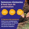 Calendrier de l'Avent des semences - graines de légumes, d'herbes aromatiques & de fleurs - 24 sachets de graines pour le jardin