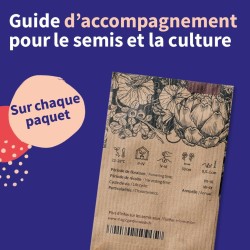 Calendrier de l'Avent des semences - graines de légumes, d'herbes aromatiques & de fleurs - 24 sachets de graines pour le jardin