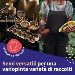 Calendrier de l'Avent des semences - graines de légumes, d'herbes aromatiques & de fleurs - 24 sachets de graines pour le jardin