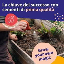 Calendrier de l'Avent des semences - graines de légumes, d'herbes aromatiques & de fleurs - 24 sachets de graines pour le jardin