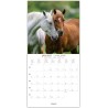 Grand Calendrier Mural 29x29 cm 2025 - Septembre 2024 à décembre 2025-15 mois - Jours et mois écrits en 7 langues - Thématique "