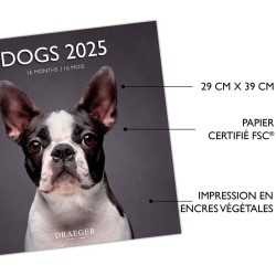 Grand Calendrier Mural 29x29 cm 2025 - Septembre 2024 à décembre 2025-15 mois - Jours et mois écrits en 7 langues - Thématique "
