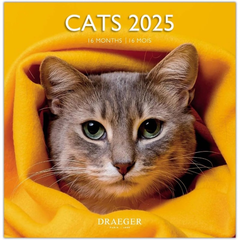 DRAEGER PARIS 1886 - Grand Calendrier Mural 29x29 cm 2025-7 Langues - Thèmes Variés: Chats - Septembre 2024 à Décembre 2025 - Pa