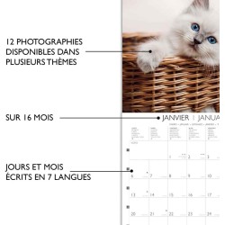 DRAEGER PARIS 1886 - Grand Calendrier Mural 29x29 cm 2025-7 Langues - Thèmes Variés: Chats - Septembre 2024 à Décembre 2025 - Pa
