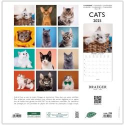 DRAEGER PARIS 1886 - Grand Calendrier Mural 29x29 cm 2025-7 Langues - Thèmes Variés: Chats - Septembre 2024 à Décembre 2025 - Pa