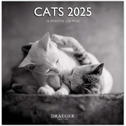 DRAEGER PARIS 1886 - Grand Calendrier Mural 2025-29x29 cm - 7 Langues - Septembre 2024 à Décembre 2025-12 Thèmes Photo - Chats N