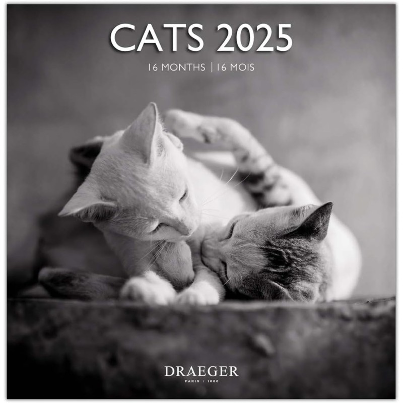 DRAEGER PARIS 1886 - Grand Calendrier Mural 2025-29x29 cm - 7 Langues - Septembre 2024 à Décembre 2025-12 Thèmes Photo - Chats N