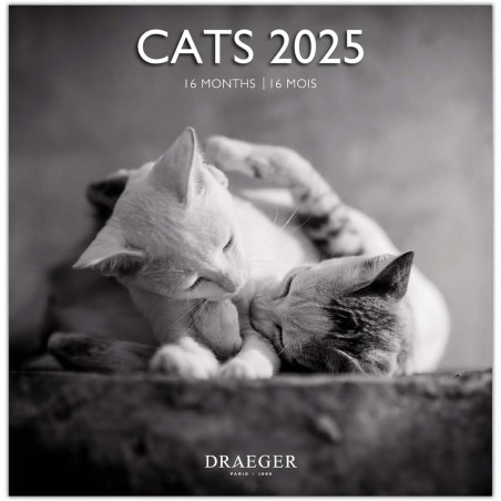 DRAEGER PARIS 1886 - Grand Calendrier Mural 2025-29x29 cm - 7 Langues - Septembre 2024 à Décembre 2025-12 Thèmes Photo - Chats N
